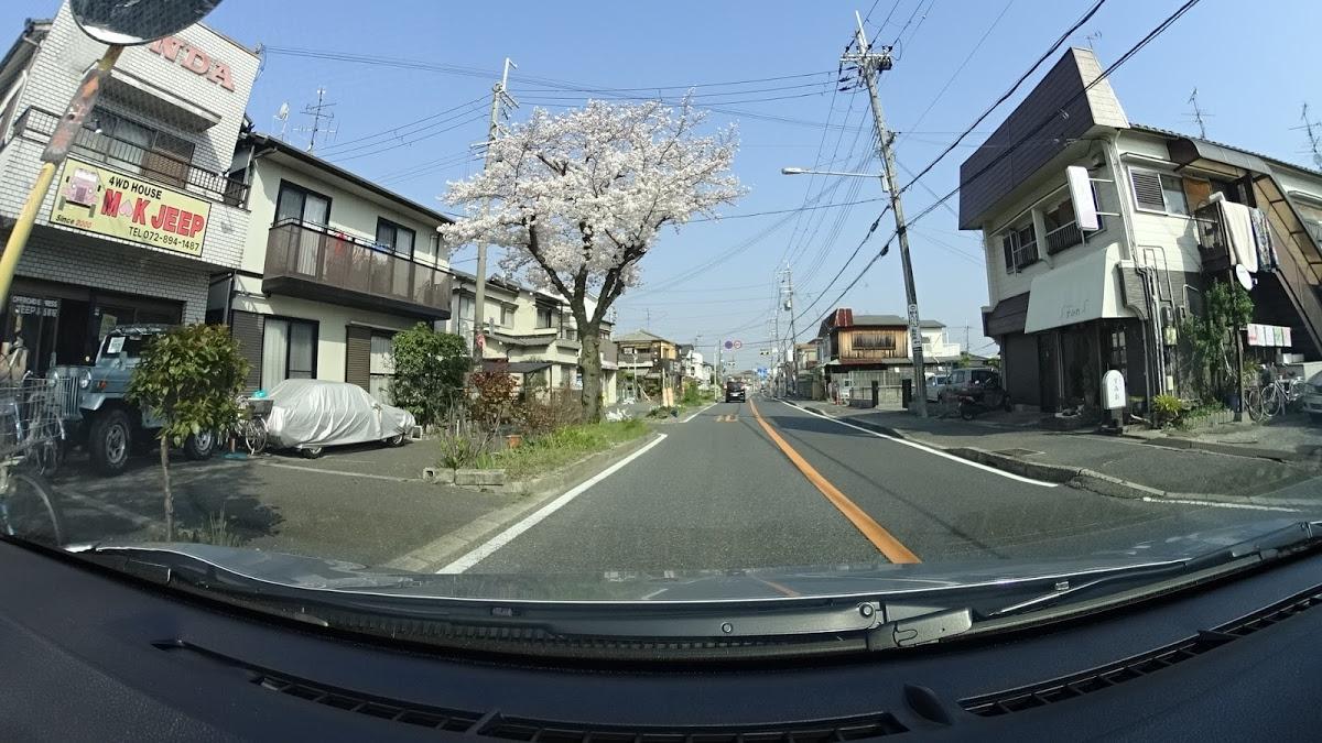 すみれ