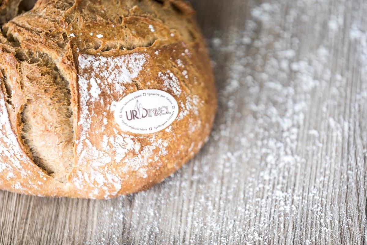 Bäckerei Sterchi AG