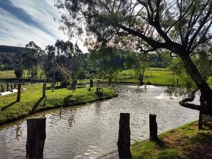 Pesque Pague Flor da Serra