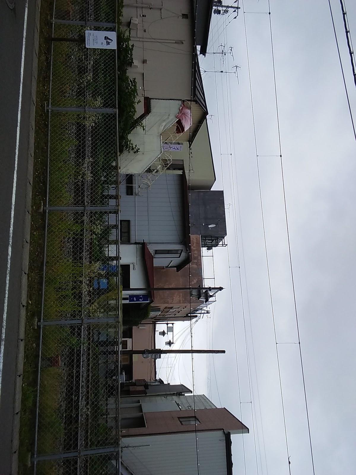 わこ