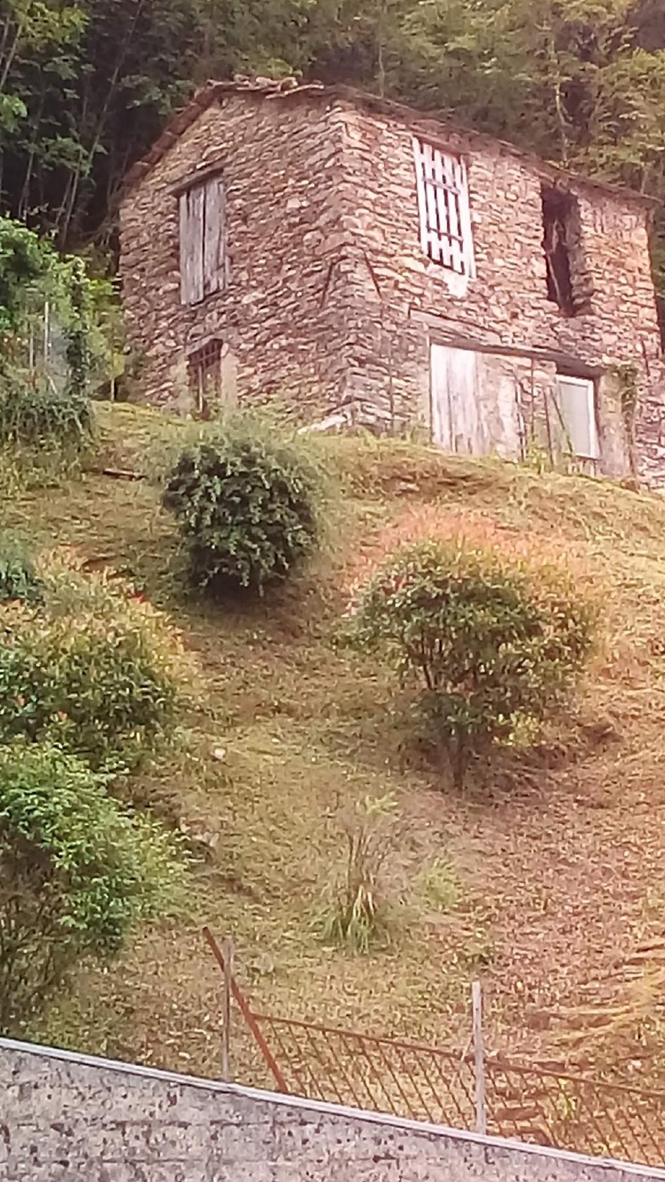 Bar Trattoria Il Cantuccio