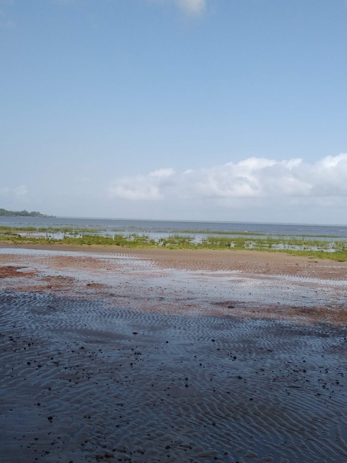 Bar e Lanchonete do Buri