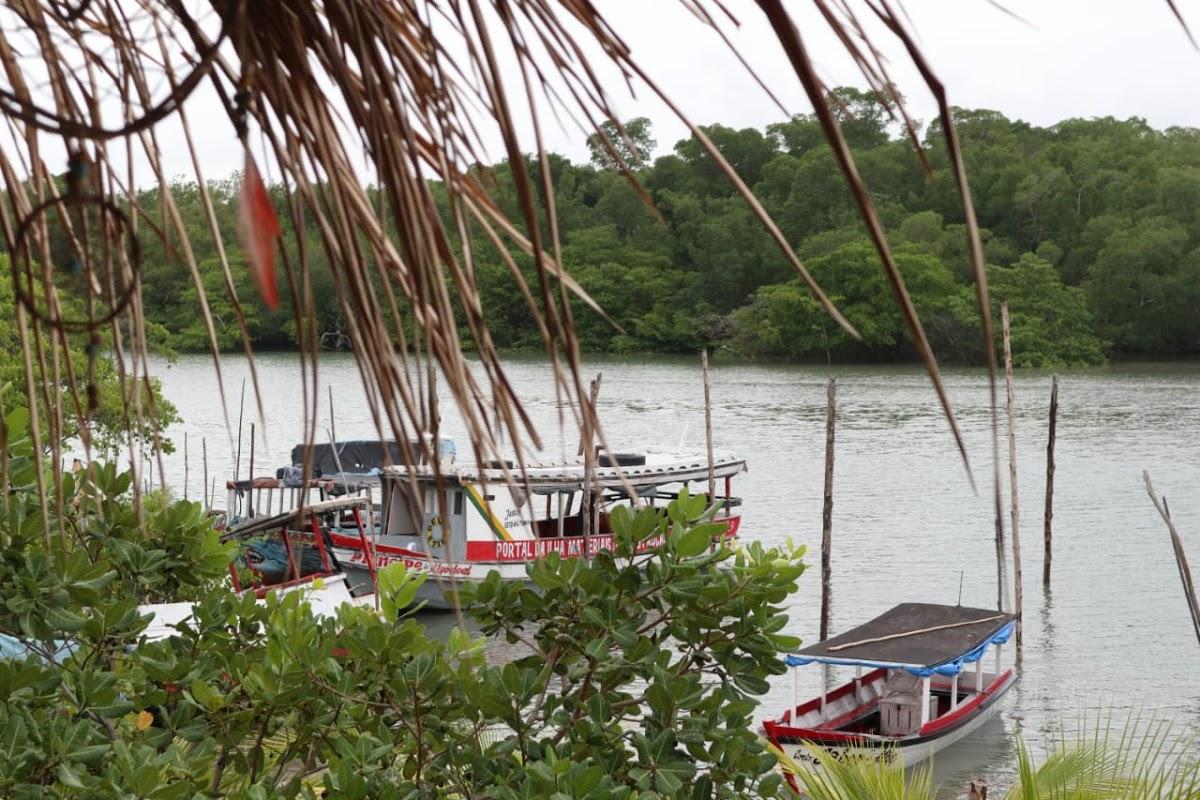 Espaço Flor Da Vida Algodoal