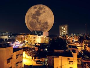 Rei da Costela e Frango - Mara