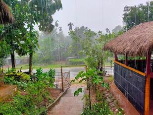 Nachiriba Restaurant