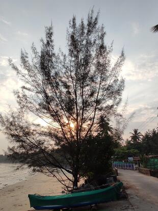 Rock Garden Chaupati