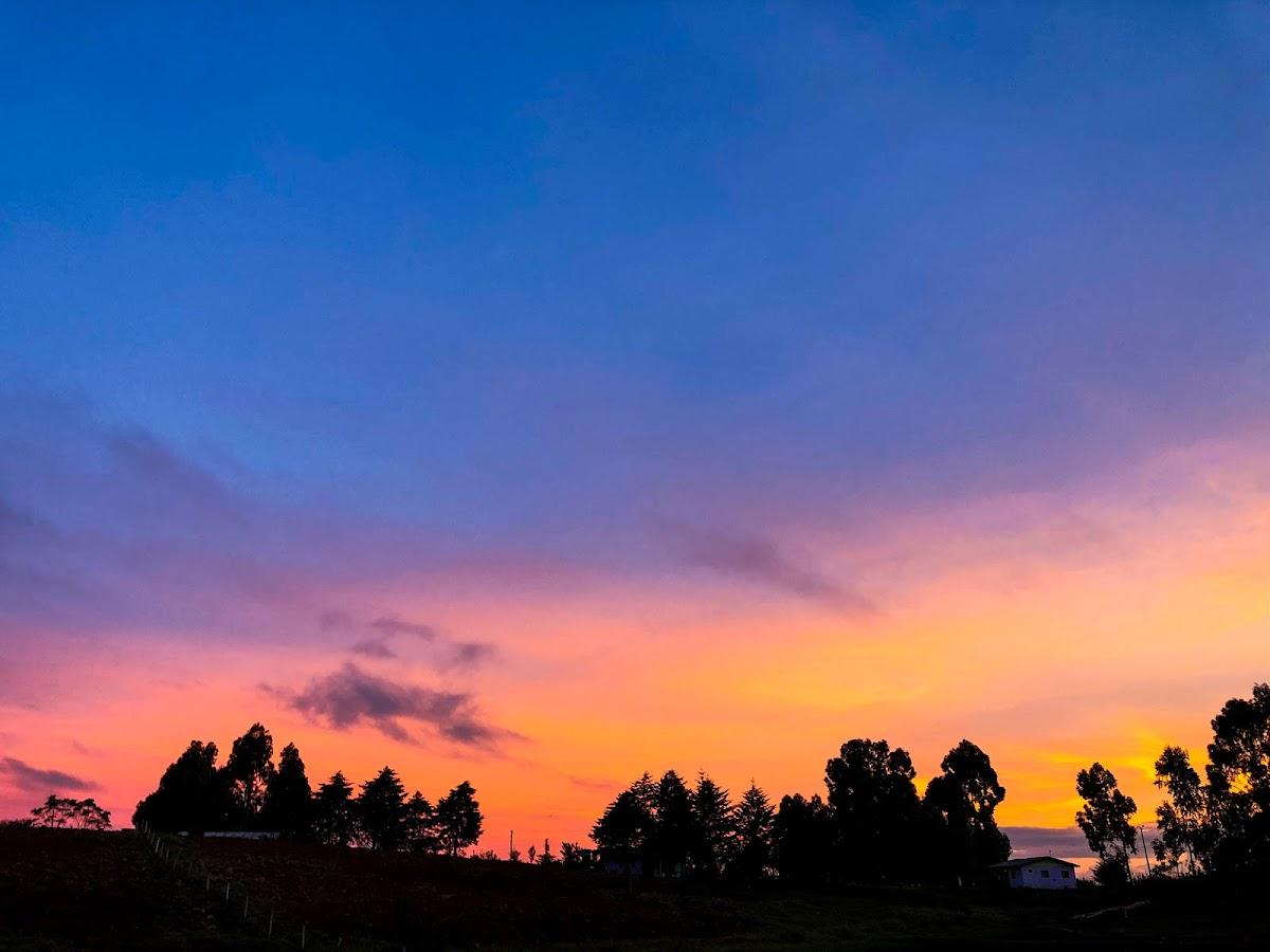 Pesque e Pague do Amaral