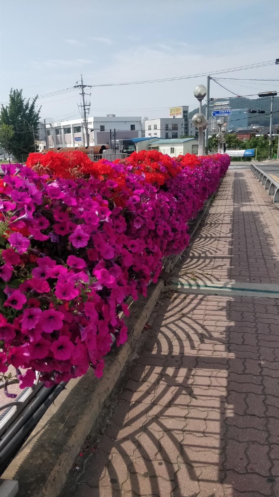 한촌설렁탕보령점