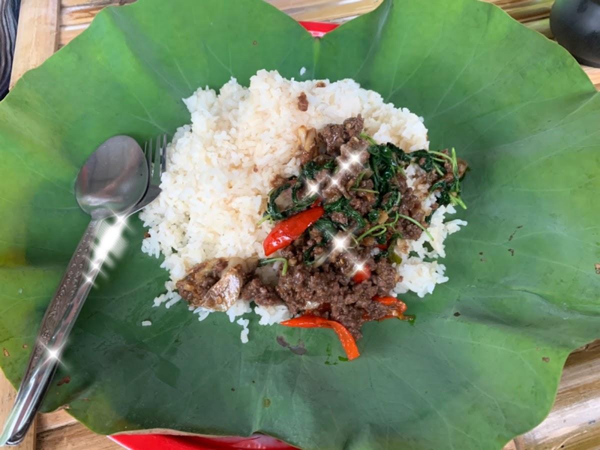 ร้านป่ากะพร้าว ครัวน้องฮาบิ๊บ