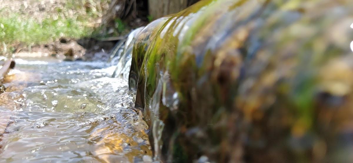 Khan Meat & Chickens