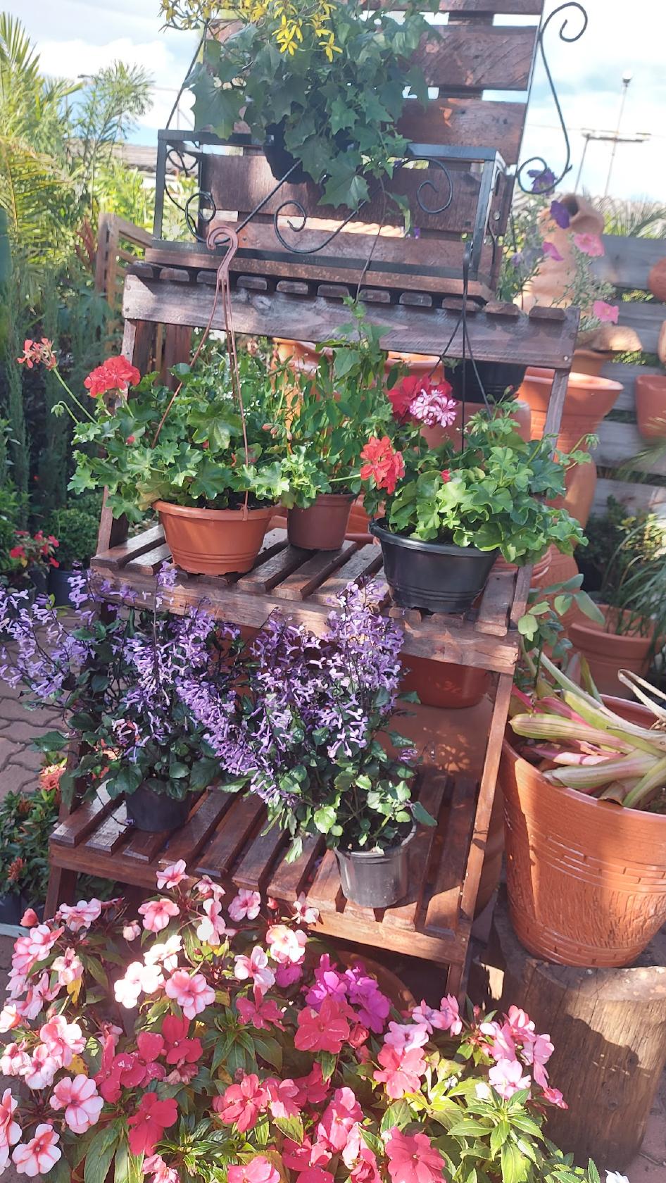 Bodega do Juca - Taguatinga