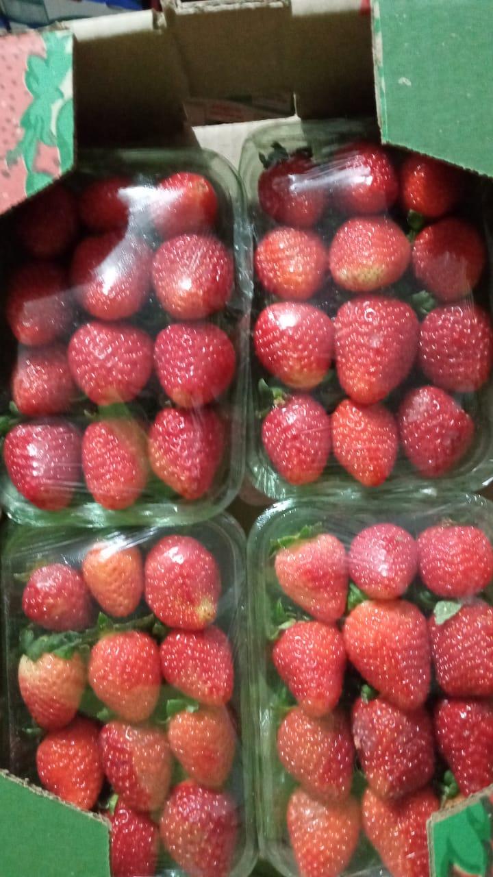 Restaurante Fogão à Lenha