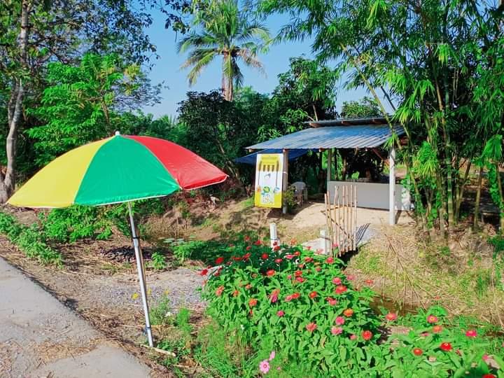 ร้านขนมป้าจอย
