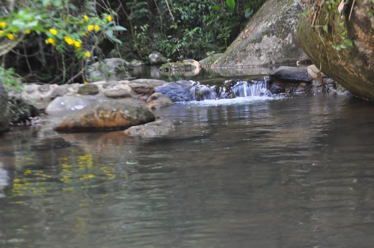 Eco Vila Ytororô o som das águas