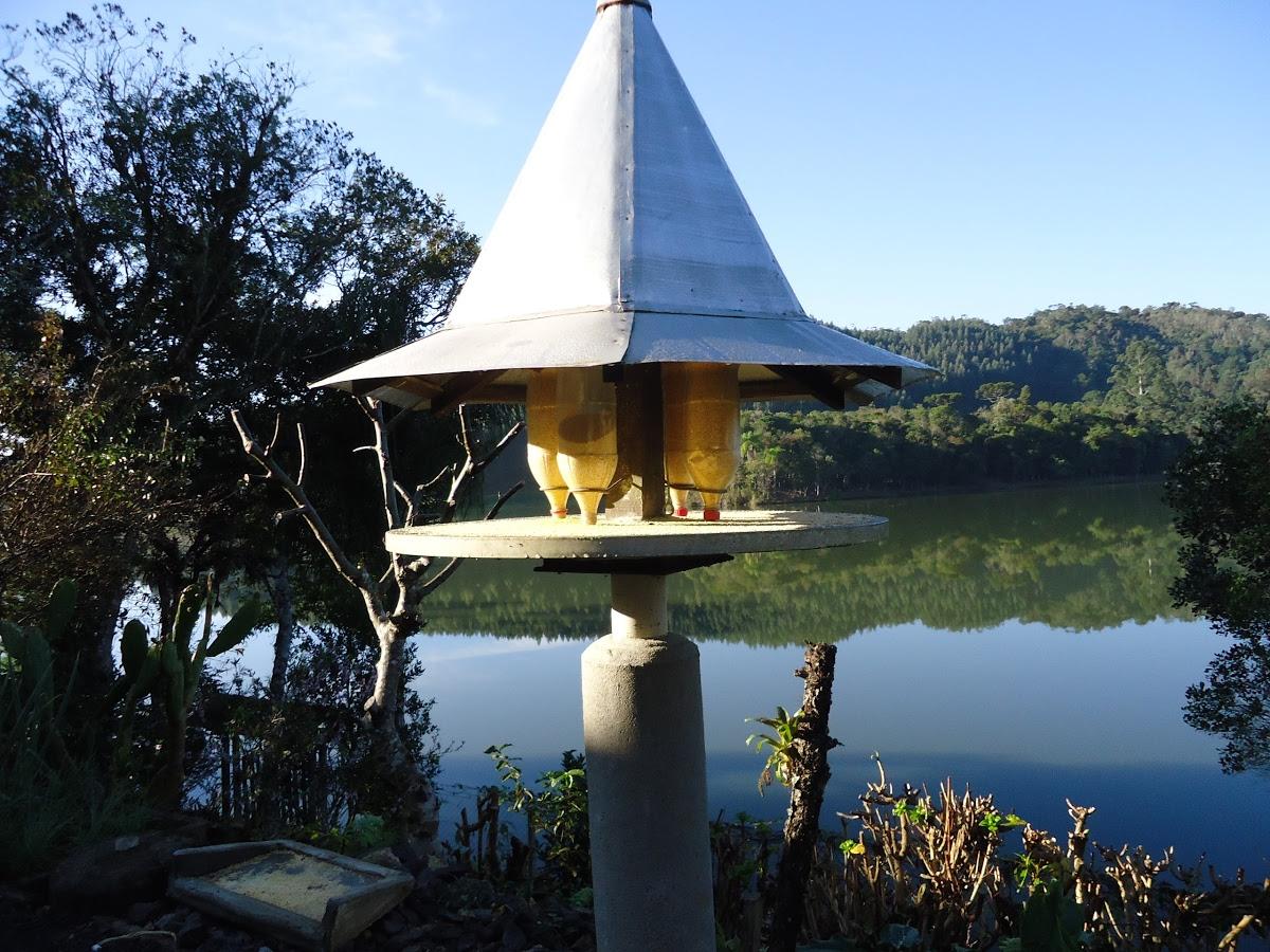 Kit Campo do Vô Loy