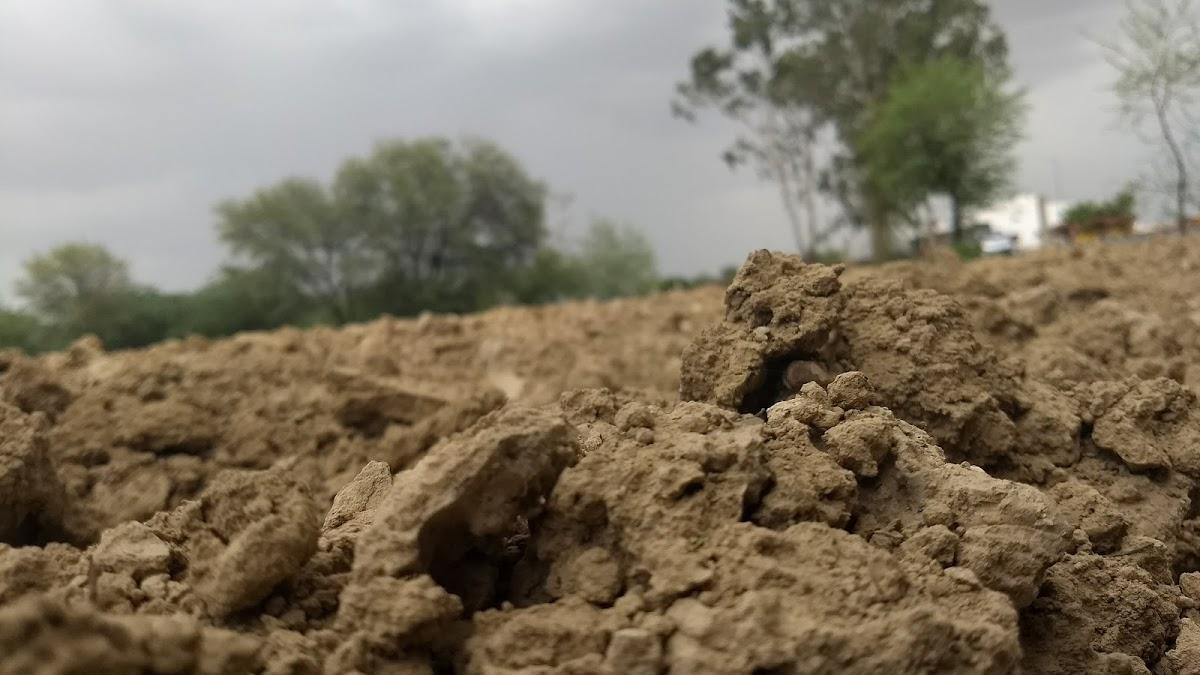 Om Saini Hotel and Restaurant