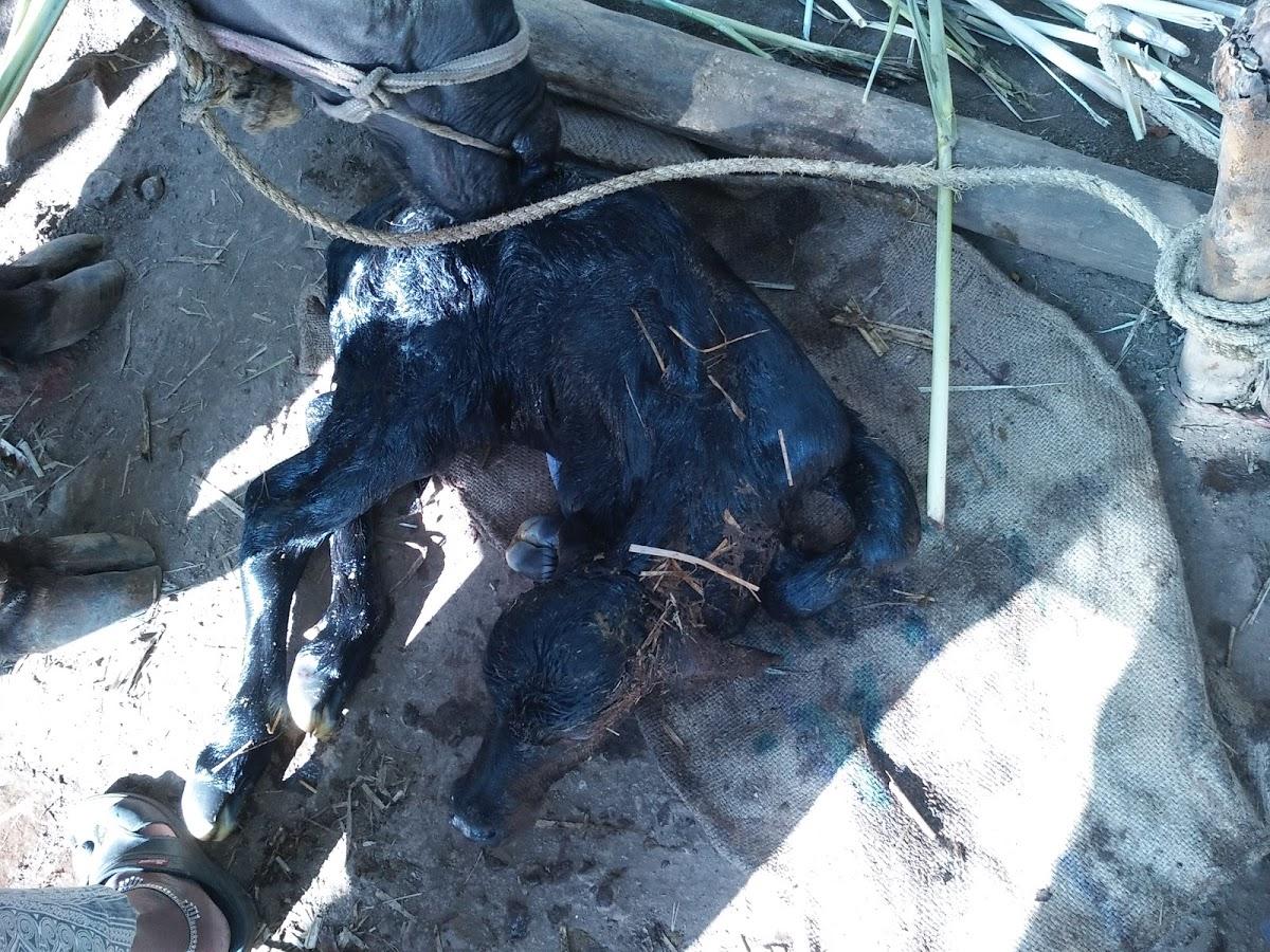 Kinara Bar And Resto