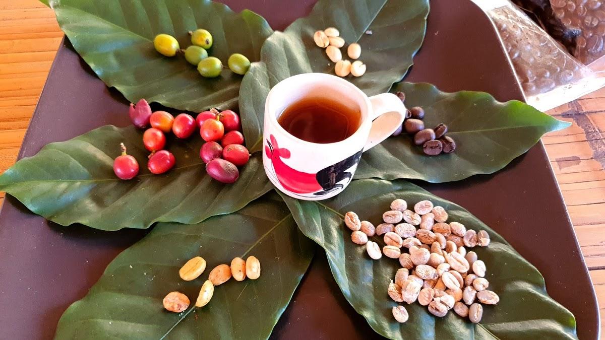 ร้านกาแฟ พาตินนท์ บ้านแม่กลางหลวง ดอยอินทนนท์