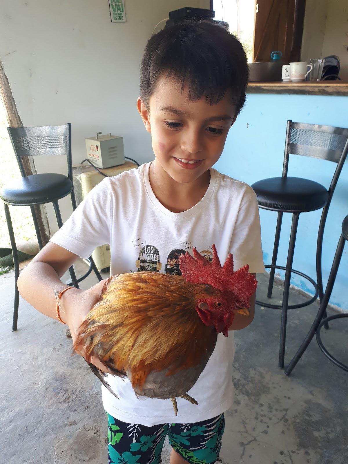 Sítios dos Pireneus - Recanto Ecológico