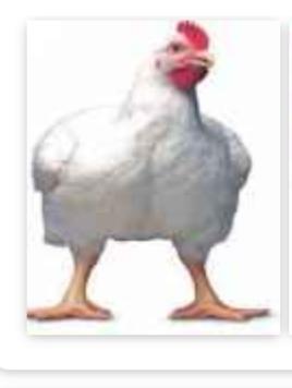 Ansiya Chicken Centre