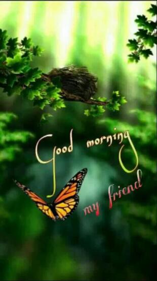 Suraj Restaurant & Kachori -Samosa