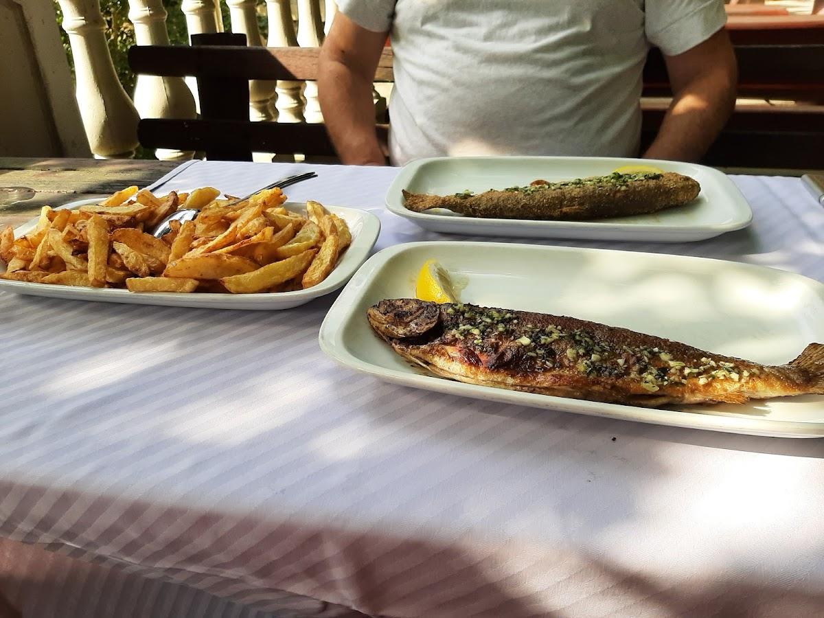 Bio park Divlje vode