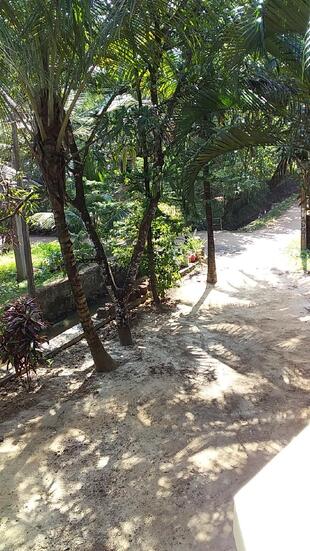 STAR HOTEL BP Angadi