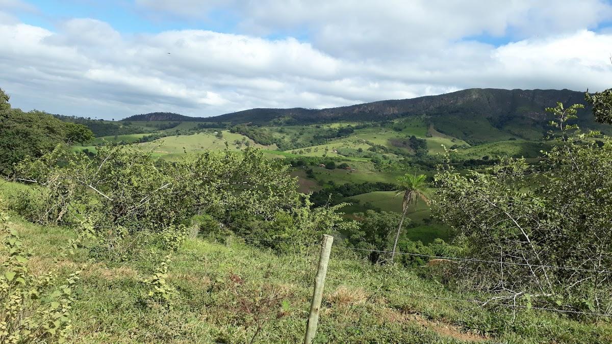 Restaurante Rede Frango Assado - Mogi Guaçu