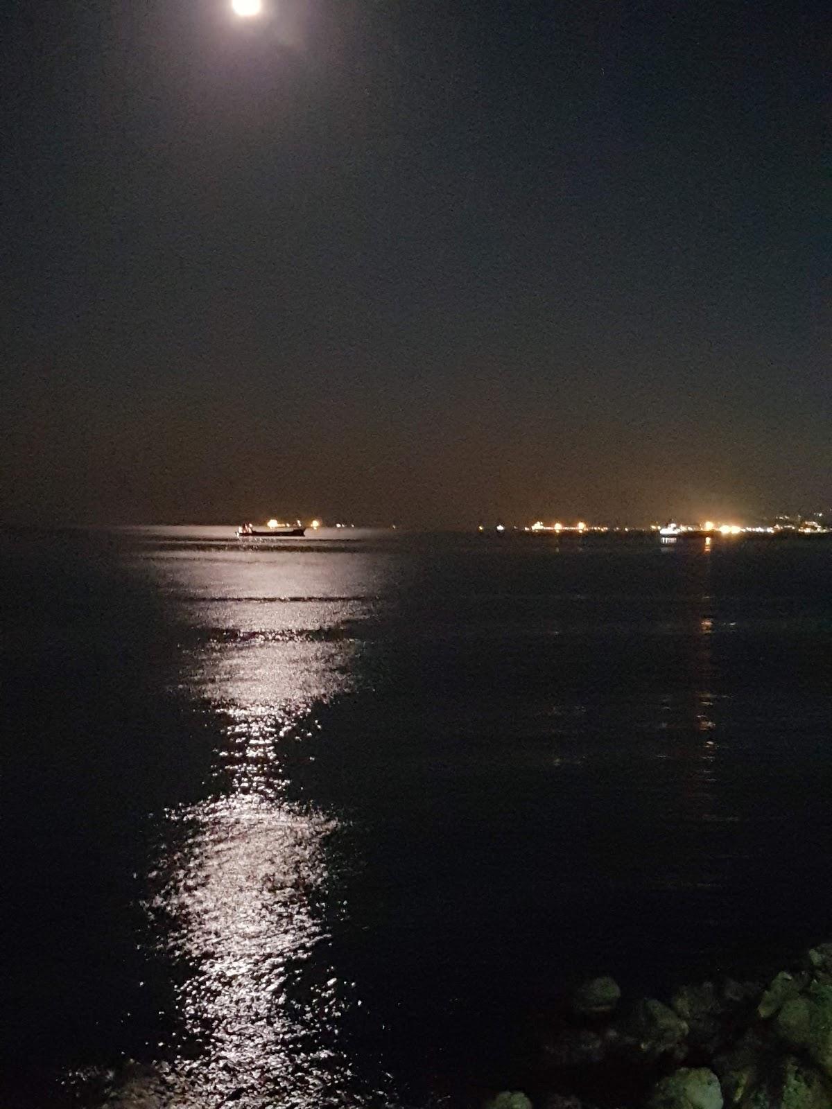 Kapeda