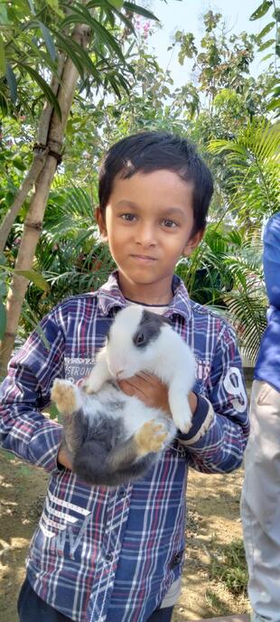 Abul Hasan Tea Stole