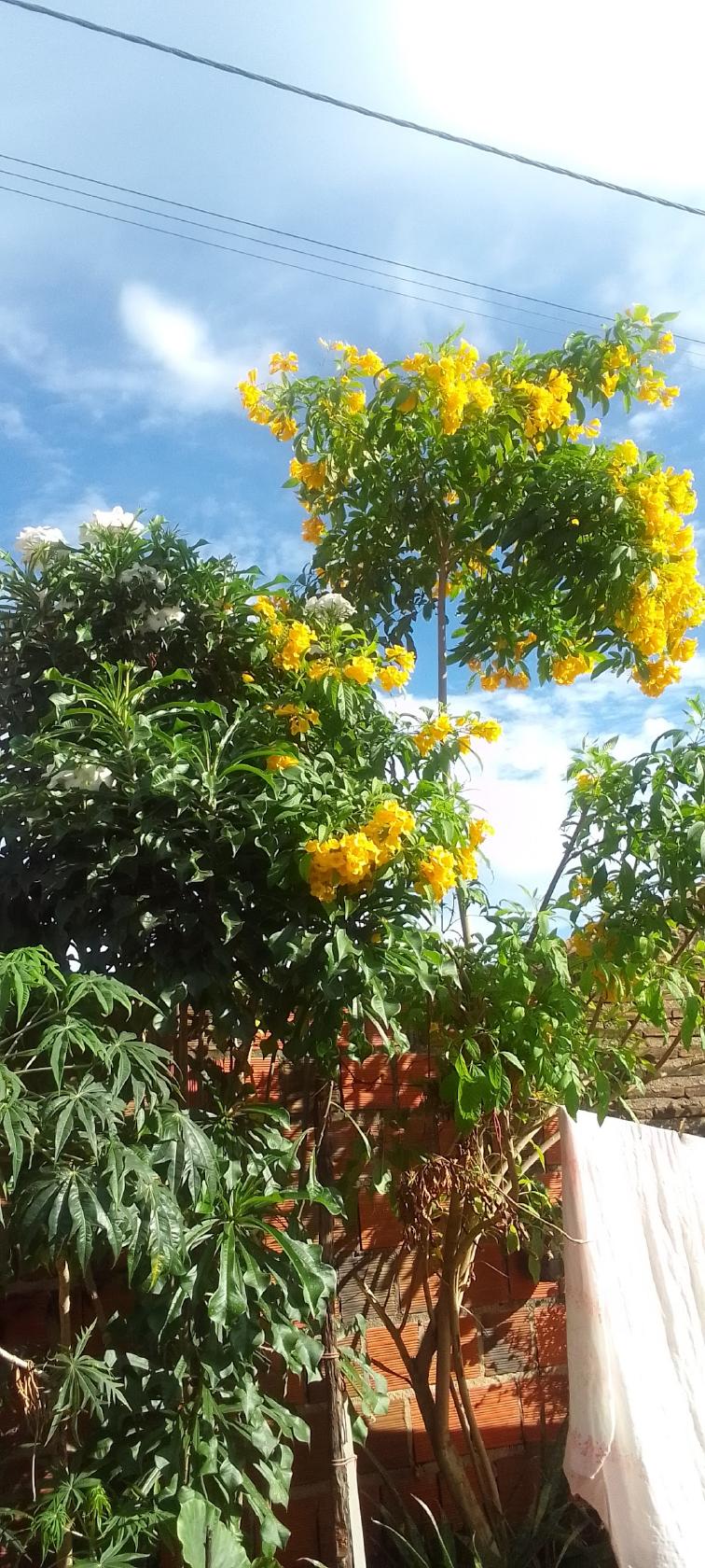 Gostinho Caseiro by Aline Ferreira