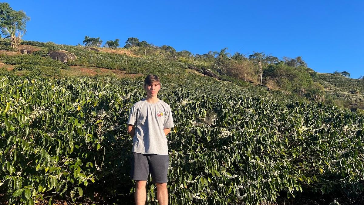 Sítio São Francisco cafés especiais