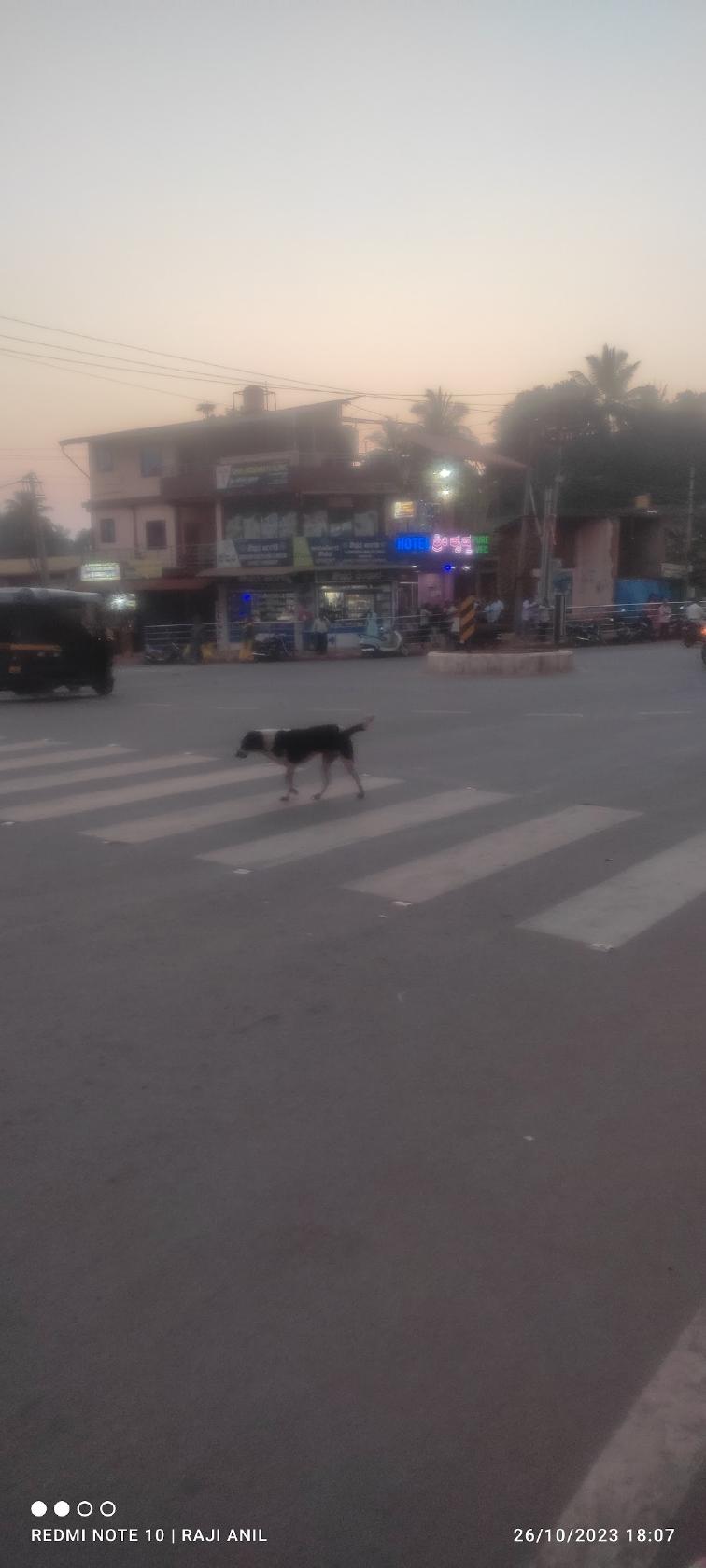 Hotel Shri Krishna Pure Veg