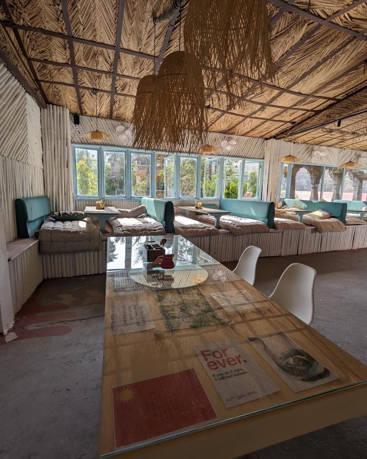 Serendipity Rishikesh - Cats Cafe & Hostel