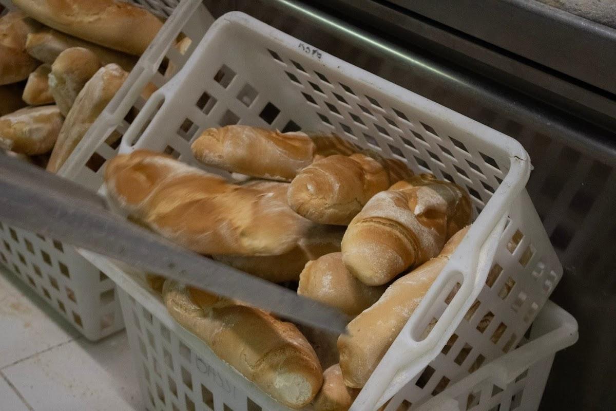 Forno Bassi (laboratorio)