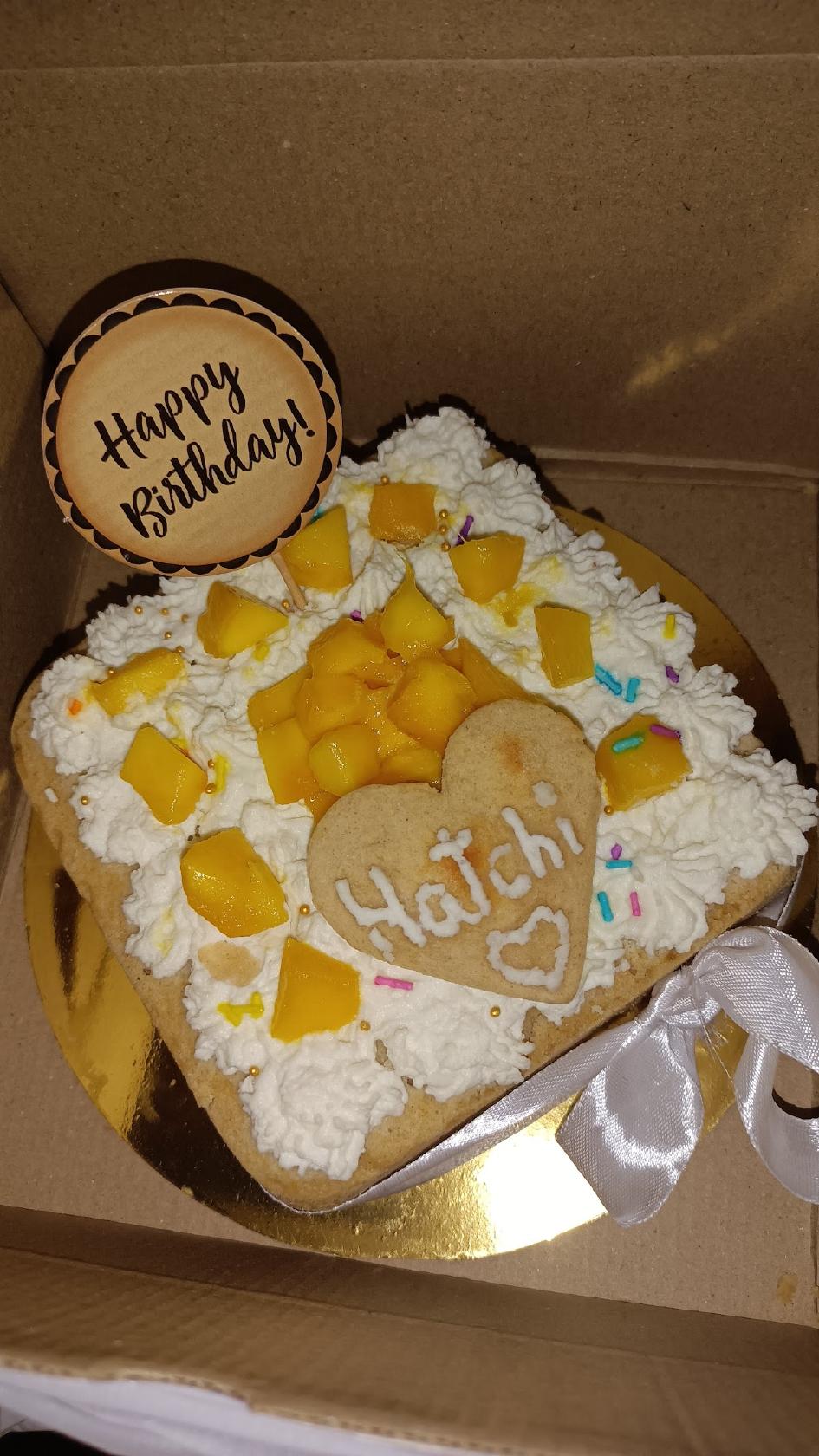 Treat-O-Tails: Chhattisgarh's 1st Pet Bakery Pet Store Dog Cake & Treats Raipur