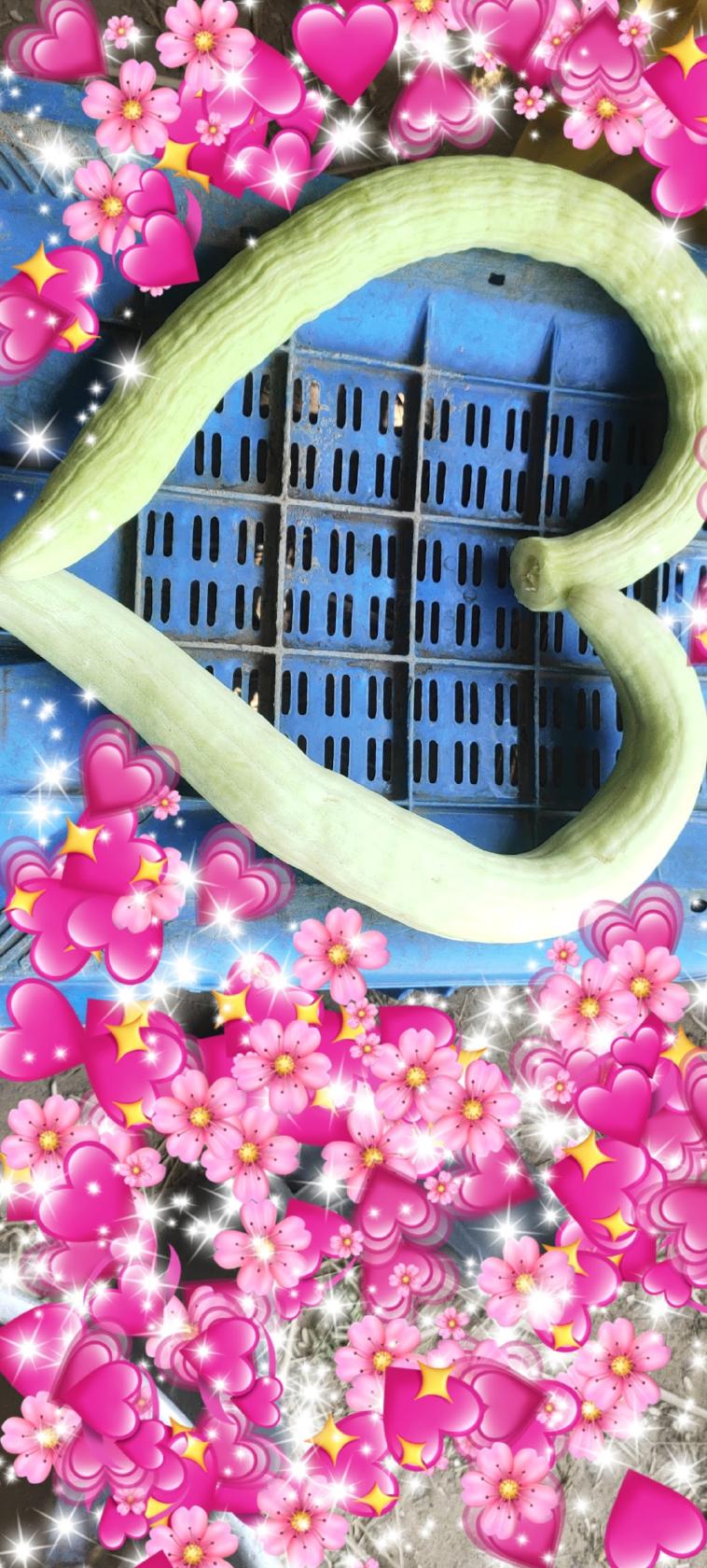 Sharma milk dairy saha