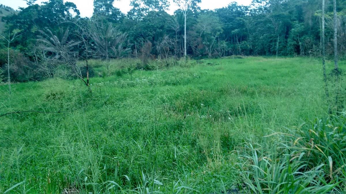 Cafénorte Agrícola