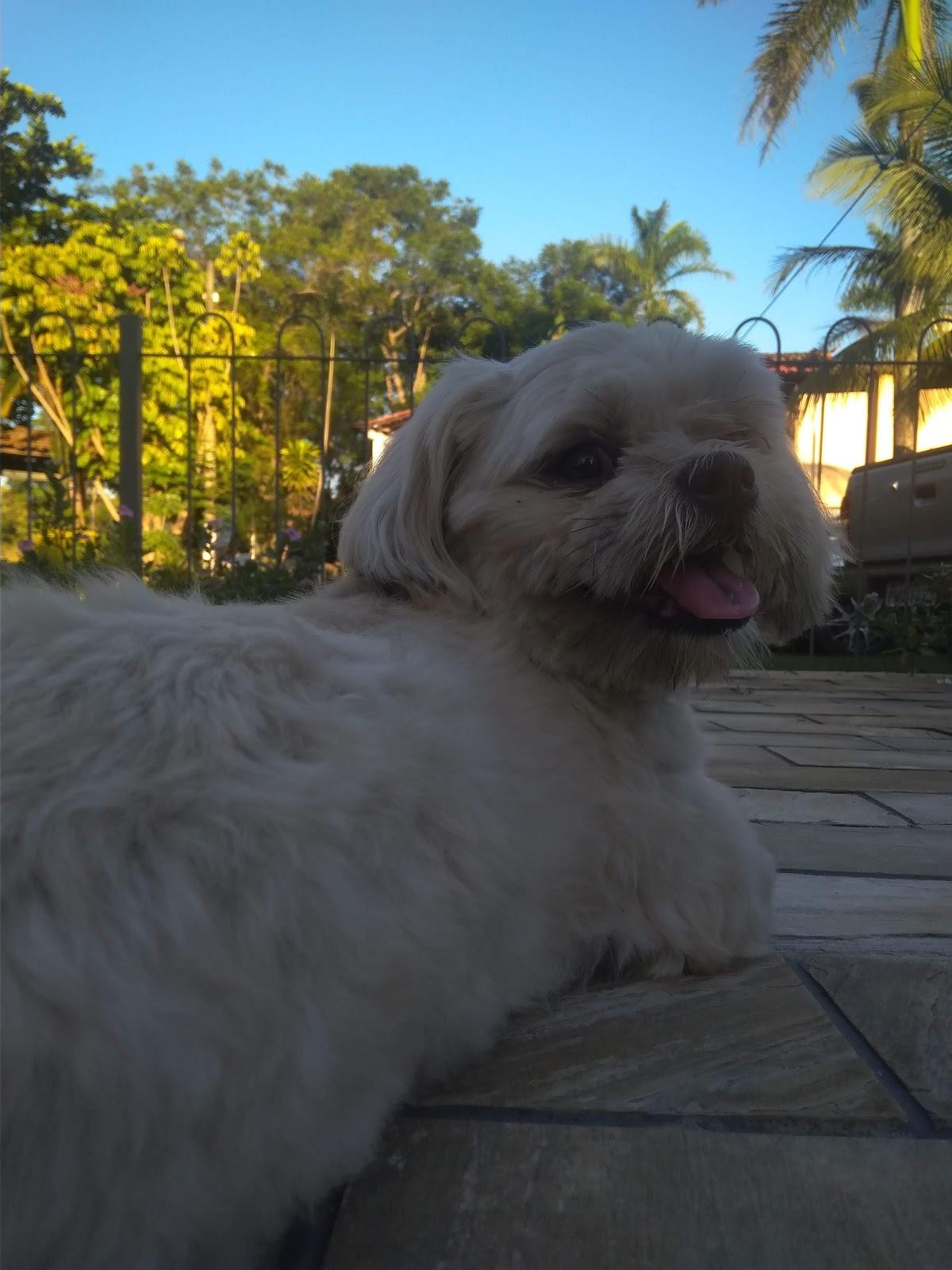 Delicias Do Paraíso