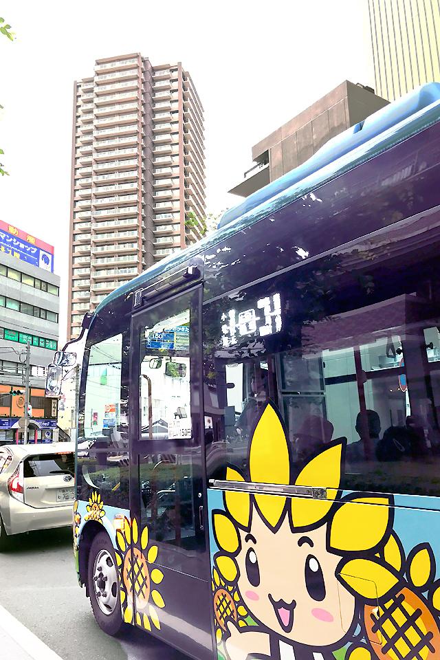 スターハウス