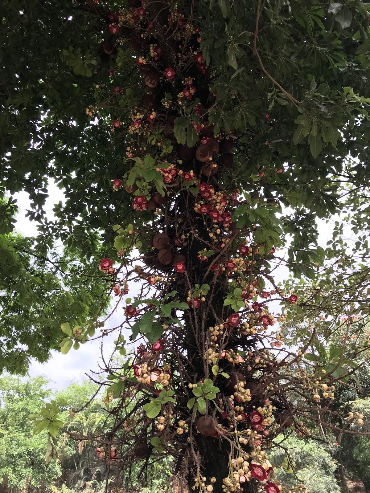Restaurante e Lanchonete do Julio