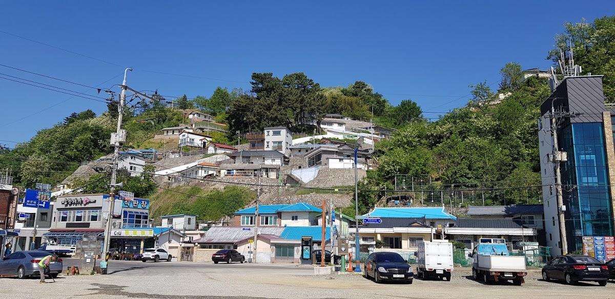 삼척 곰치국