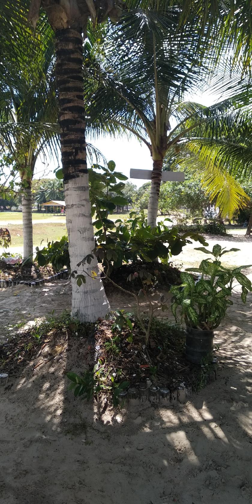 Bar e restaurante Sabor da Ilha