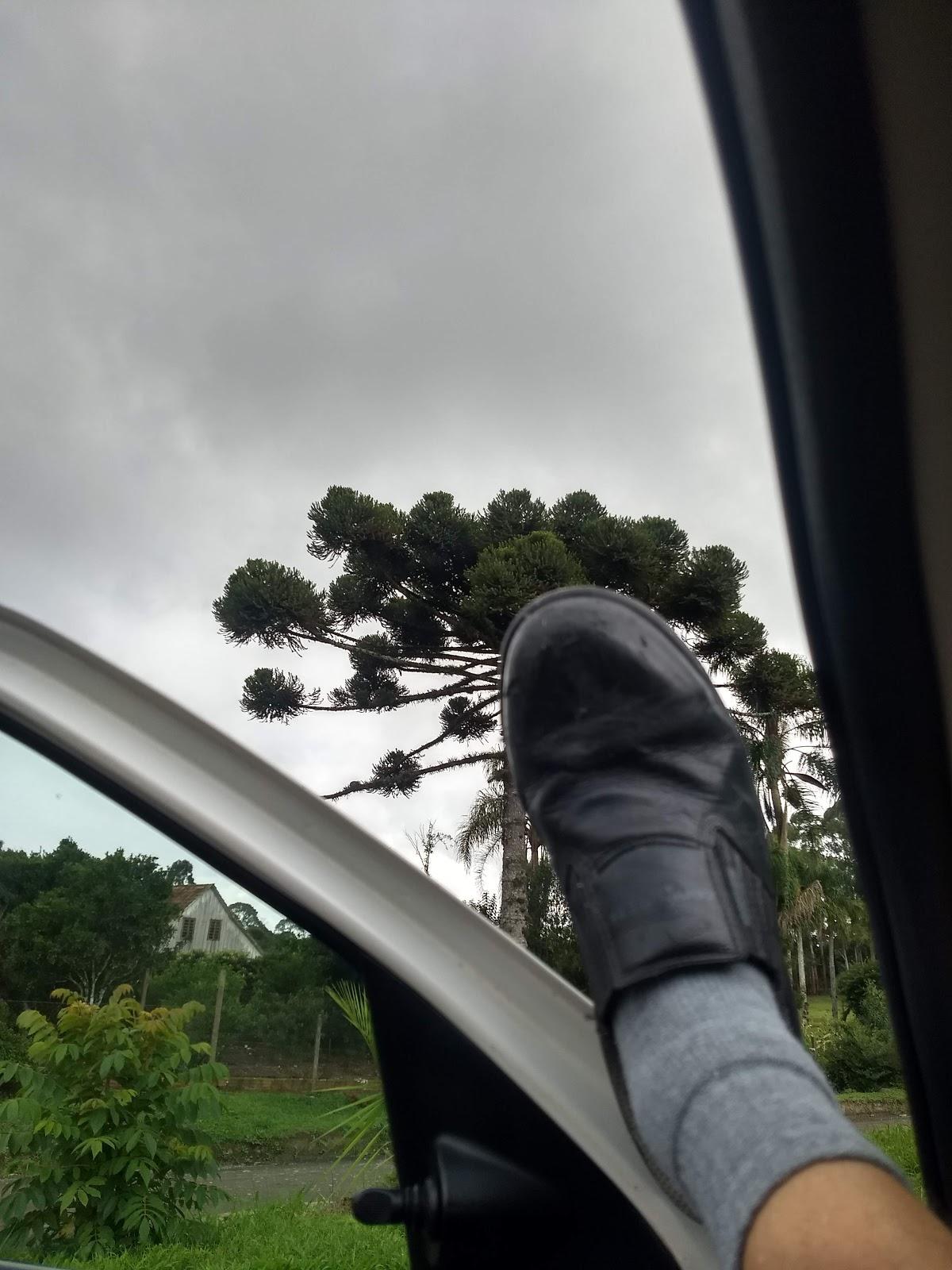 Restaurante Ladaniski