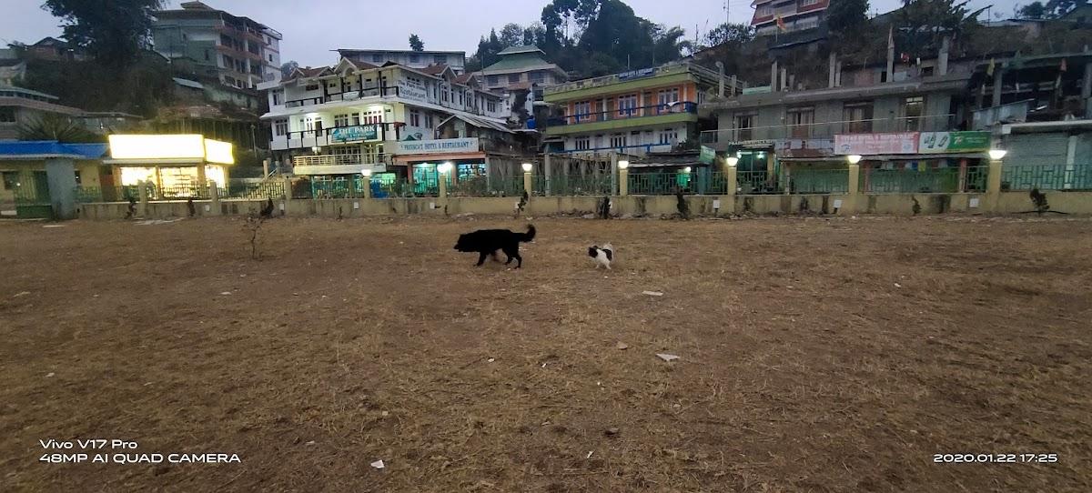 Durga Hotel and Restaurant