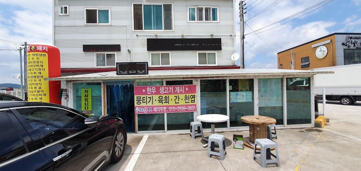 황금돈돼지
