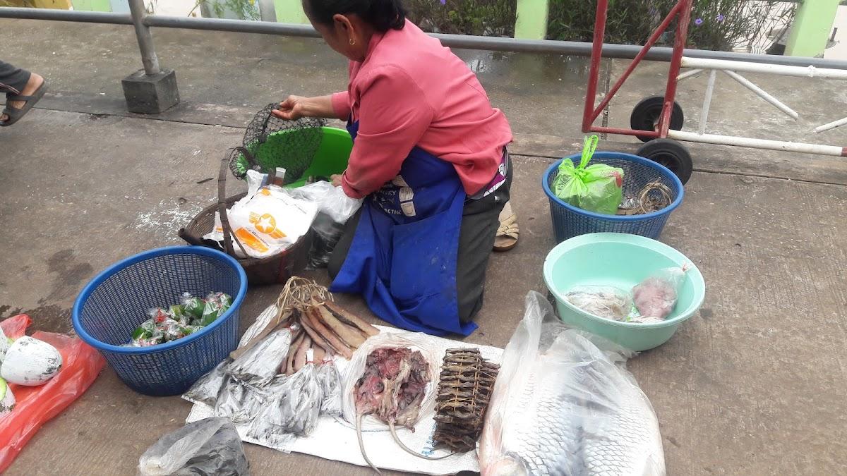 ร้านปลาทู
