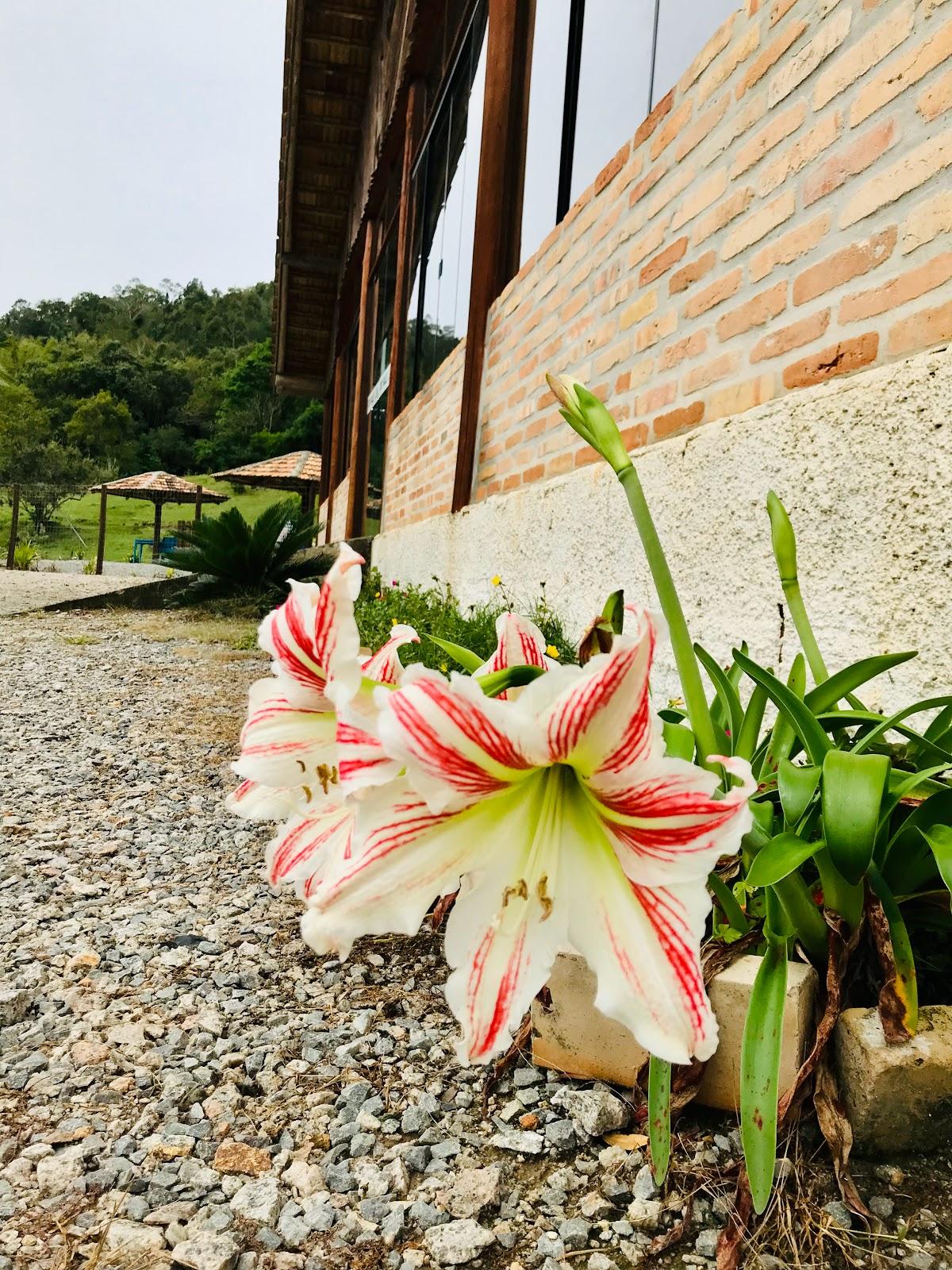 Pesque Pague Restaurante Dovale