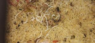 RR பிரியாணி