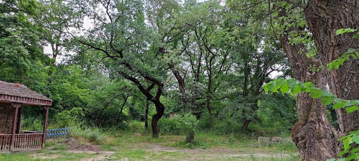 ფაცხები